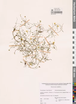 MAG 0010189