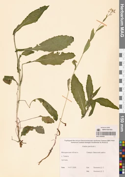 MAG 0006404