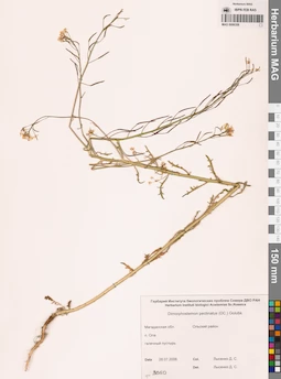 MAG 0006358