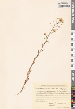 MAG 0006363