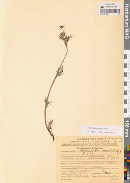 MAG 0008279