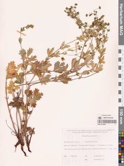 MAG 0010640