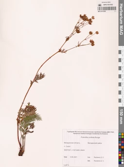 MAG 0010508