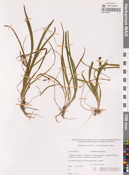 MAG 0019984