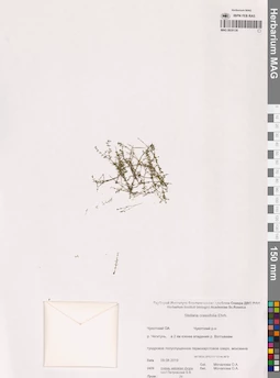 MAG 0020130