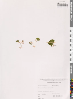 MAG 0020148
