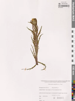 MAG 0020235