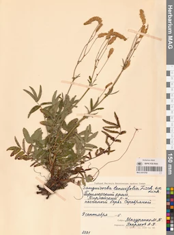 MAG 0010760