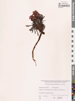 MAG 0005416