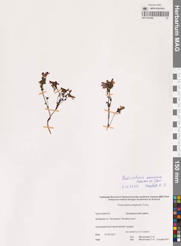 MAG 0014496
