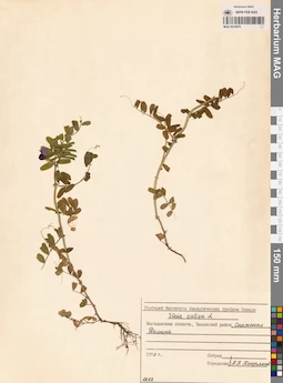 MAG 0010878
