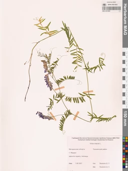 MAG 0010898