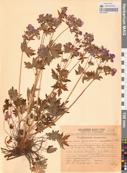 MAG 0022088