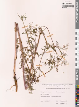 MAG 0010988