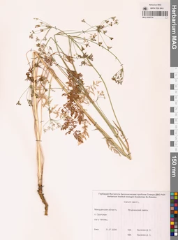 MAG 0006754
