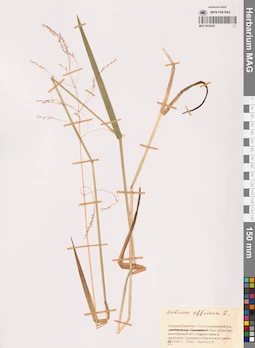 MAG 0022435