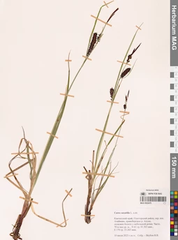 MAG 0022476