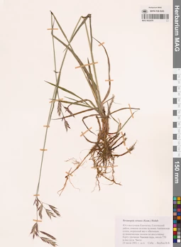 MAG 0022478