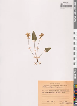 MAG 0022492