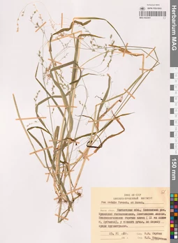 MAG 0022501