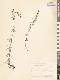 MAG 0014046