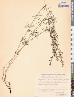 MAG 0014048