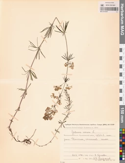 MAG 0014057