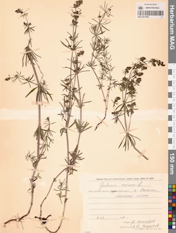 MAG 0014059