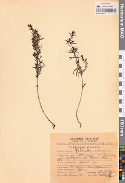 MAG 0014076