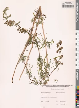 MAG 0014078