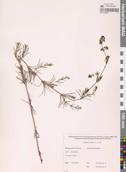 MAG 0014084