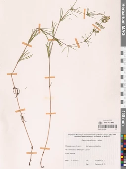 MAG 0014086