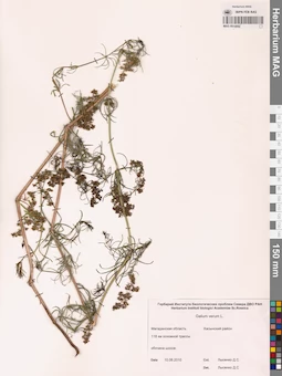 MAG 0014092