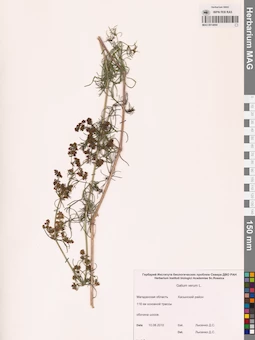MAG 0014094