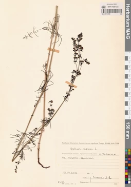 MAG 0014098
