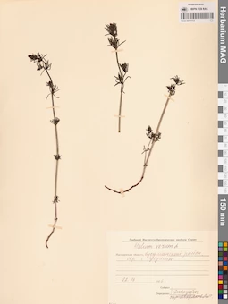 MAG 0014112
