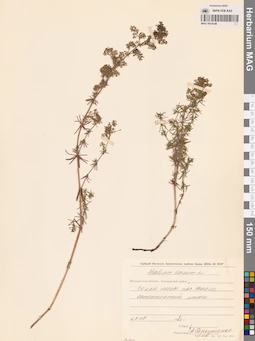MAG 0014148