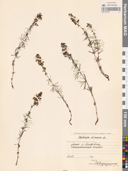 MAG 0014149