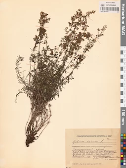 MAG 0014153