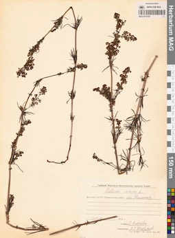 MAG 0014159
