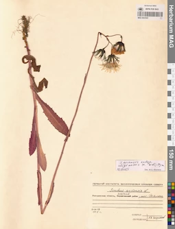 MAG 0022543