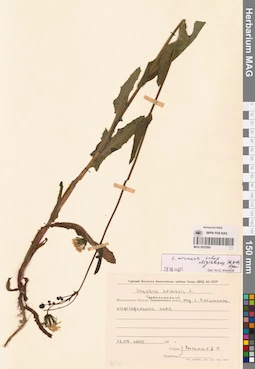 MAG 0022560