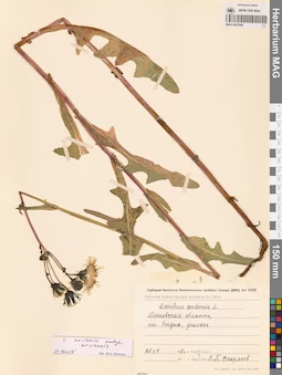 MAG 0022569