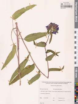 MAG 0012476