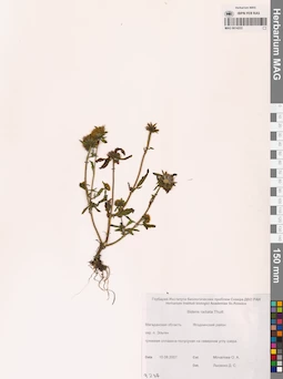 MAG 0014222