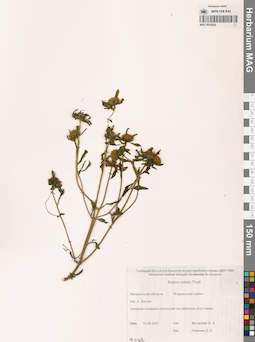 MAG 0014224