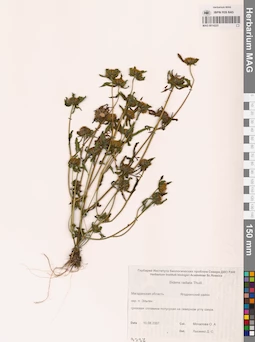 MAG 0014225