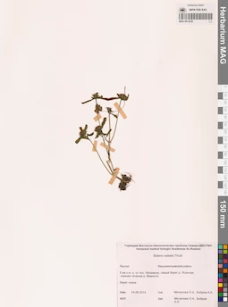 MAG 0014226