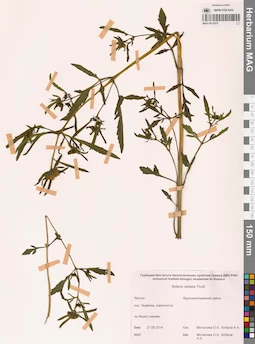 MAG 0014227