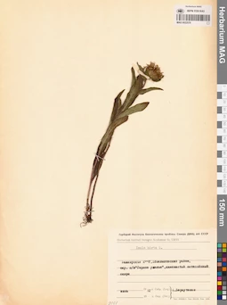 MAG 0022578